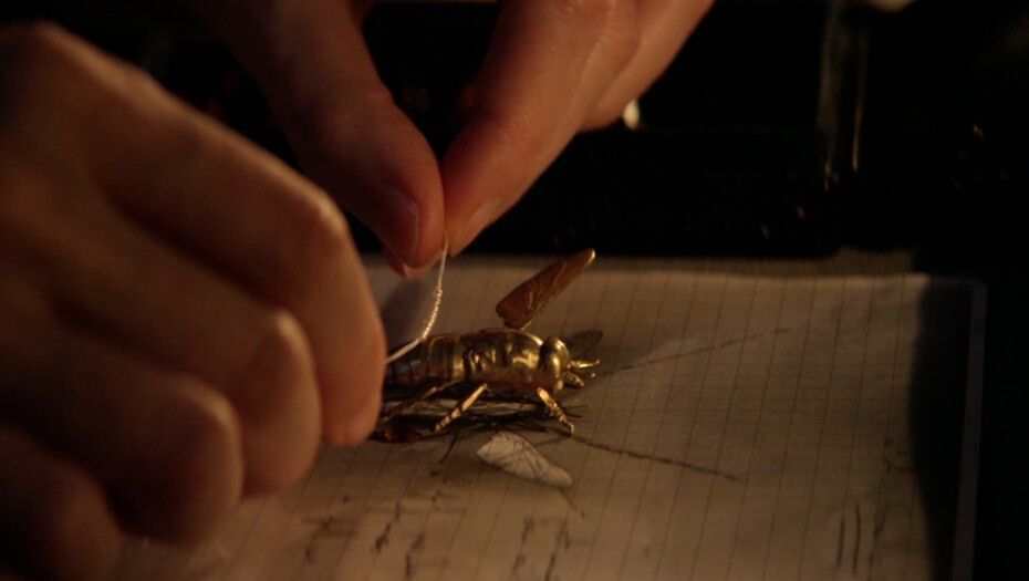 Насекомое (The insect/L' Insecte)