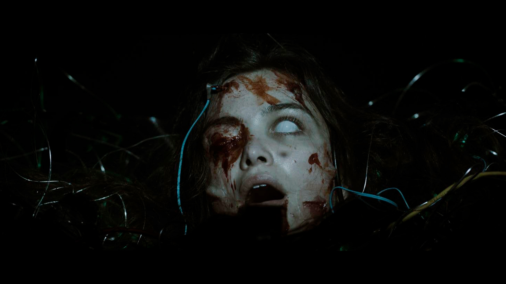 Short-панорама № 6 2 death of an editor shot tv