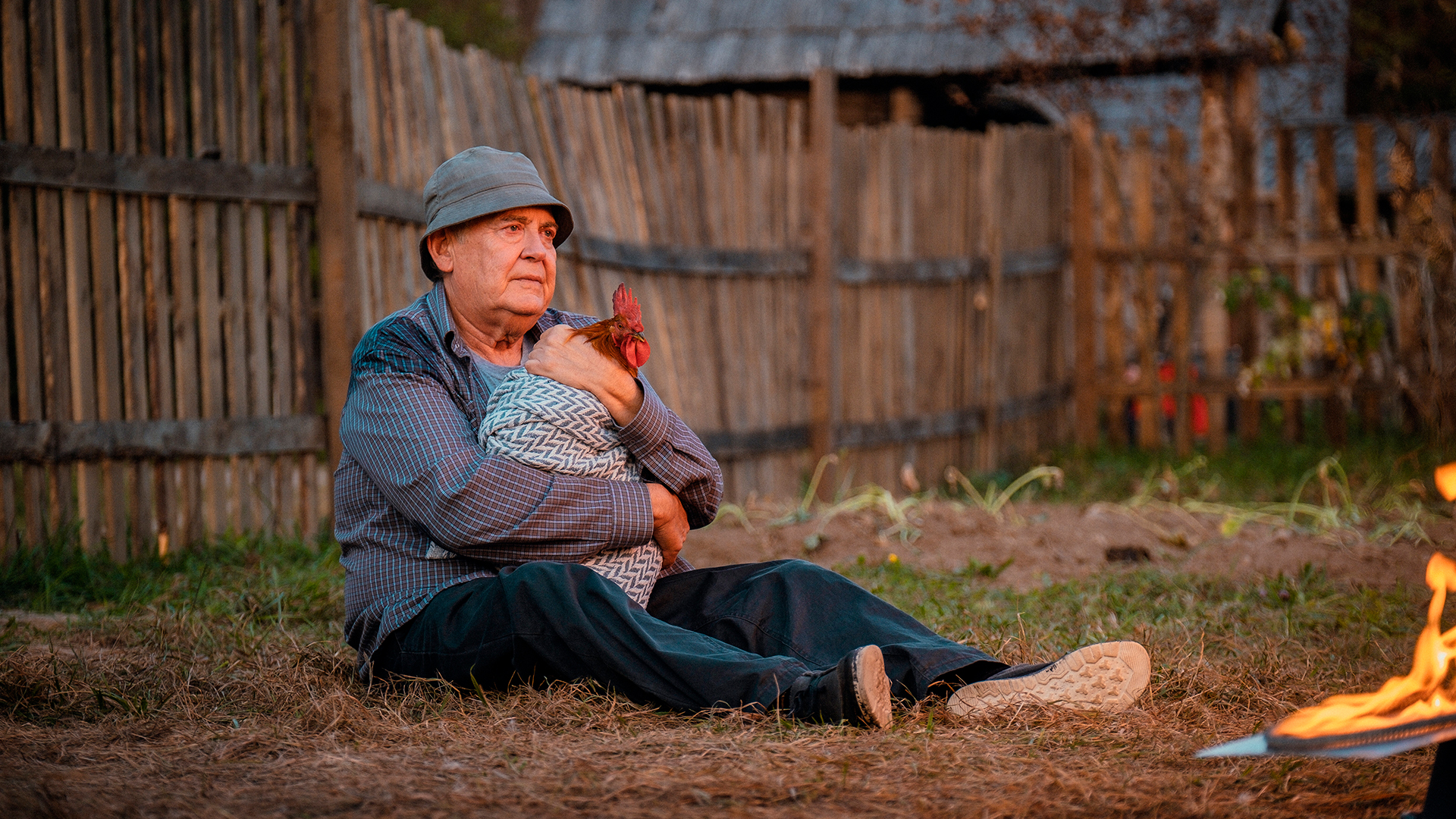 yurij stoyanov v filme na derevnyu dedushke 2025