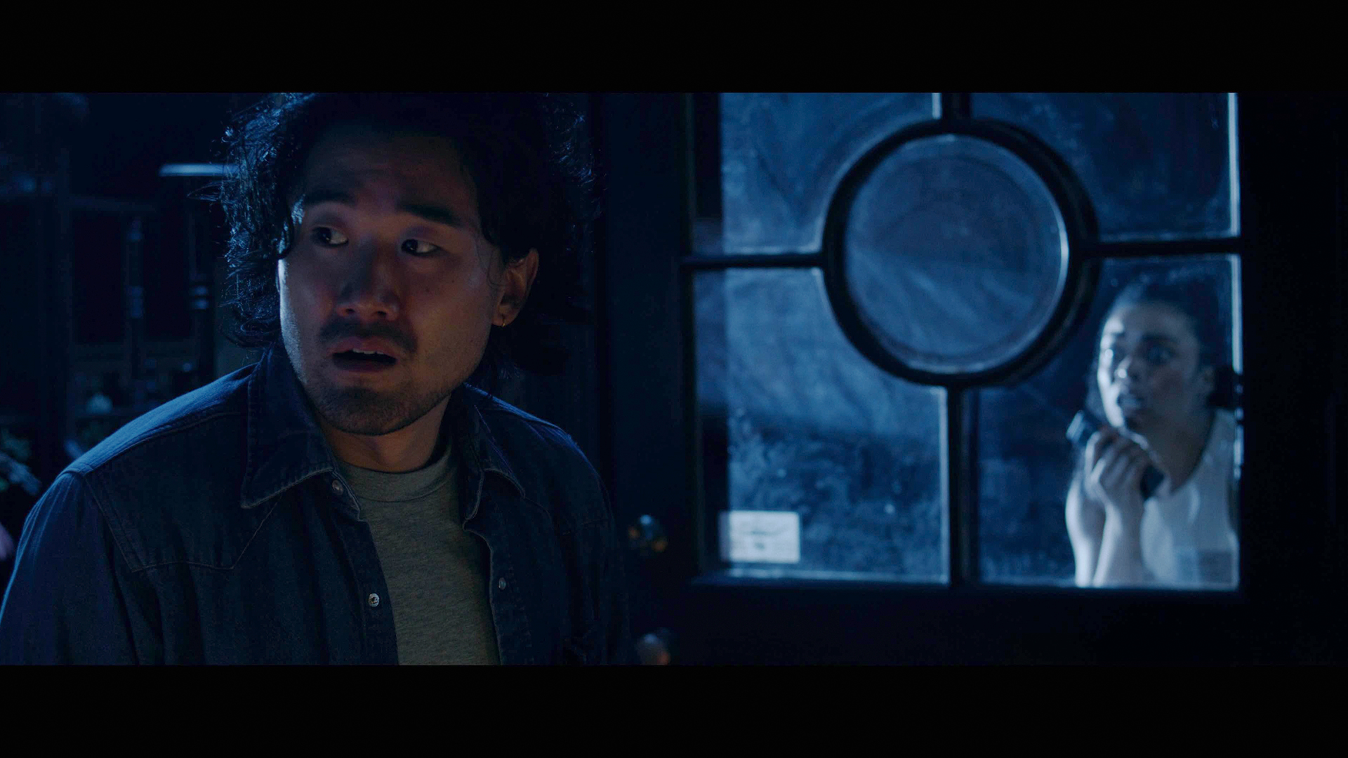 did you remember the cat