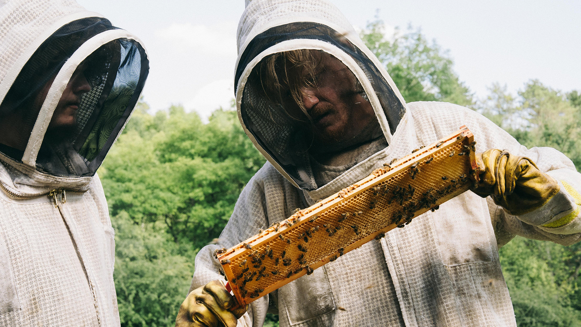 razbor filma bugoniya jorgosa lantimosa shot tv 1
