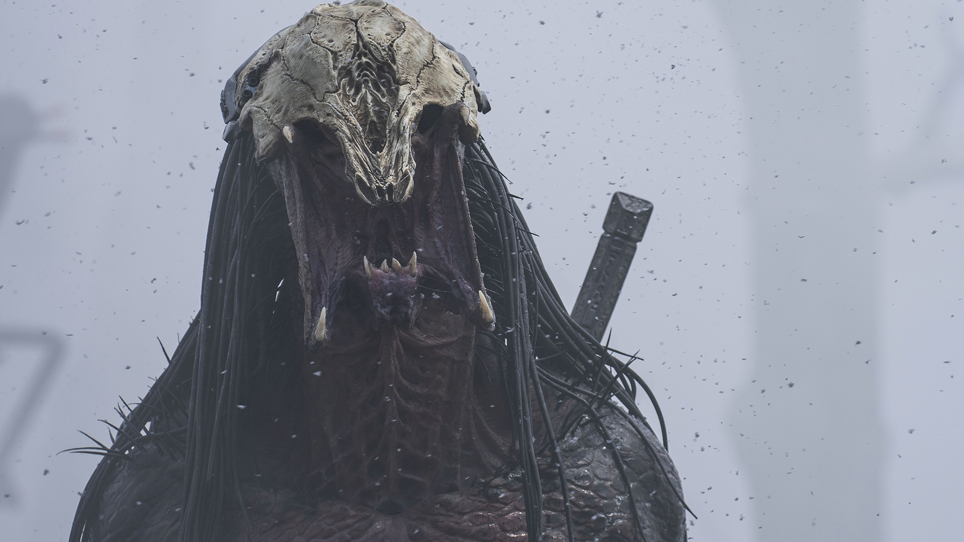 Как убивали «Хищника» 10 hishhnik. planeta smerti. otzyvy shot tv 10