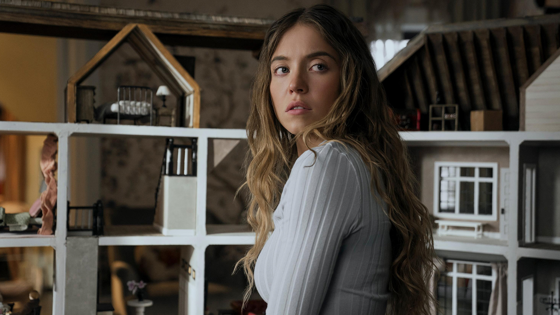 sidni suini v gornichnoj