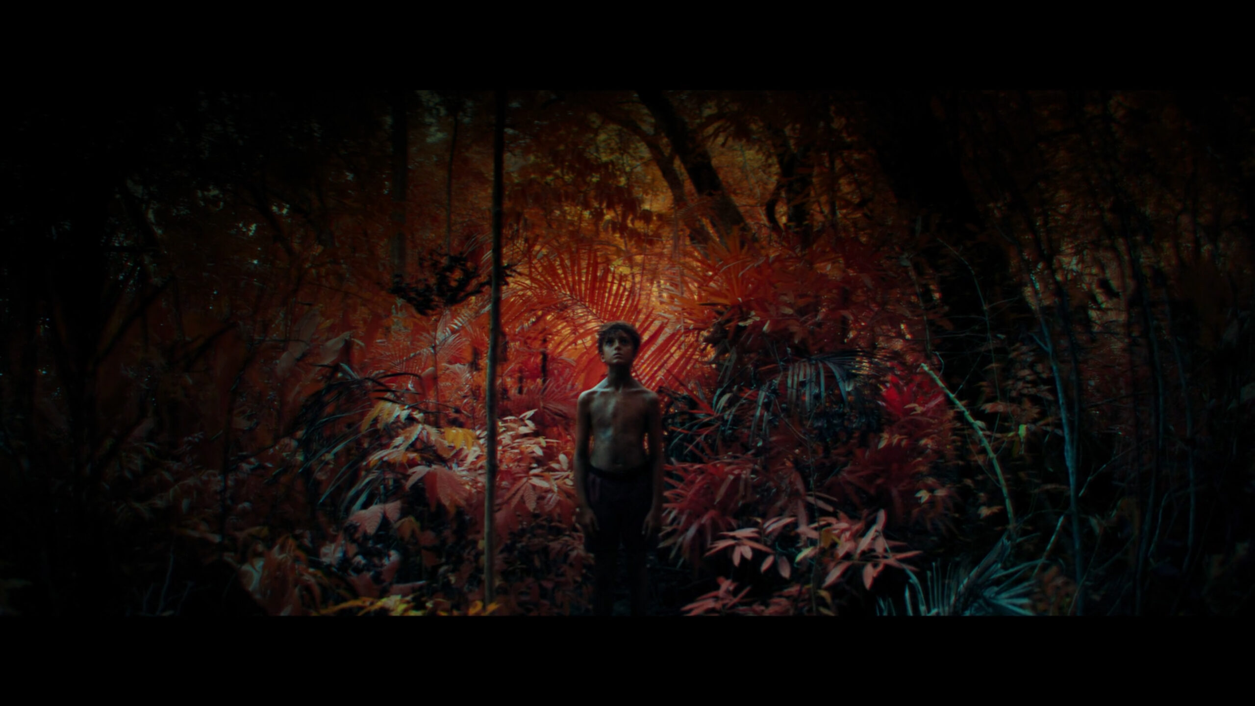 «Повелитель мух»: трудно быть взрослым 2 povelitel muh serial 2026. otzyv syuzhet plyusy s minusy 5 scaled