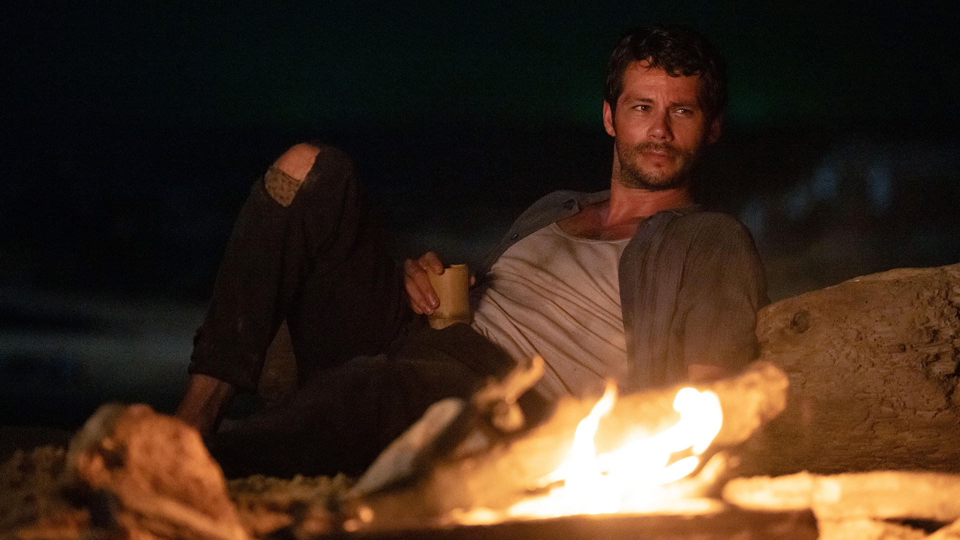 reczenziya na film na pomoshh. razbor kinokritika shot tv 2