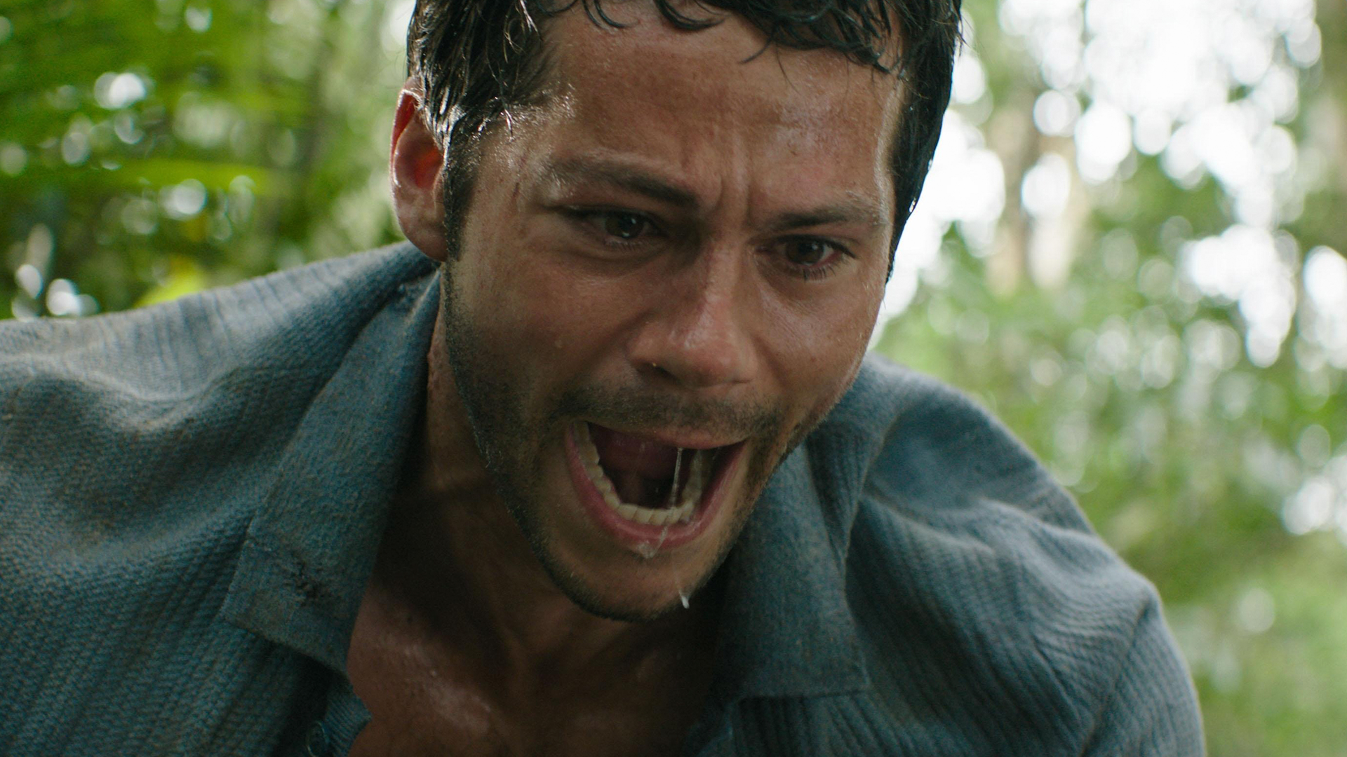 reczenziya na film na pomoshh. razbor kinokritika shot tv 3