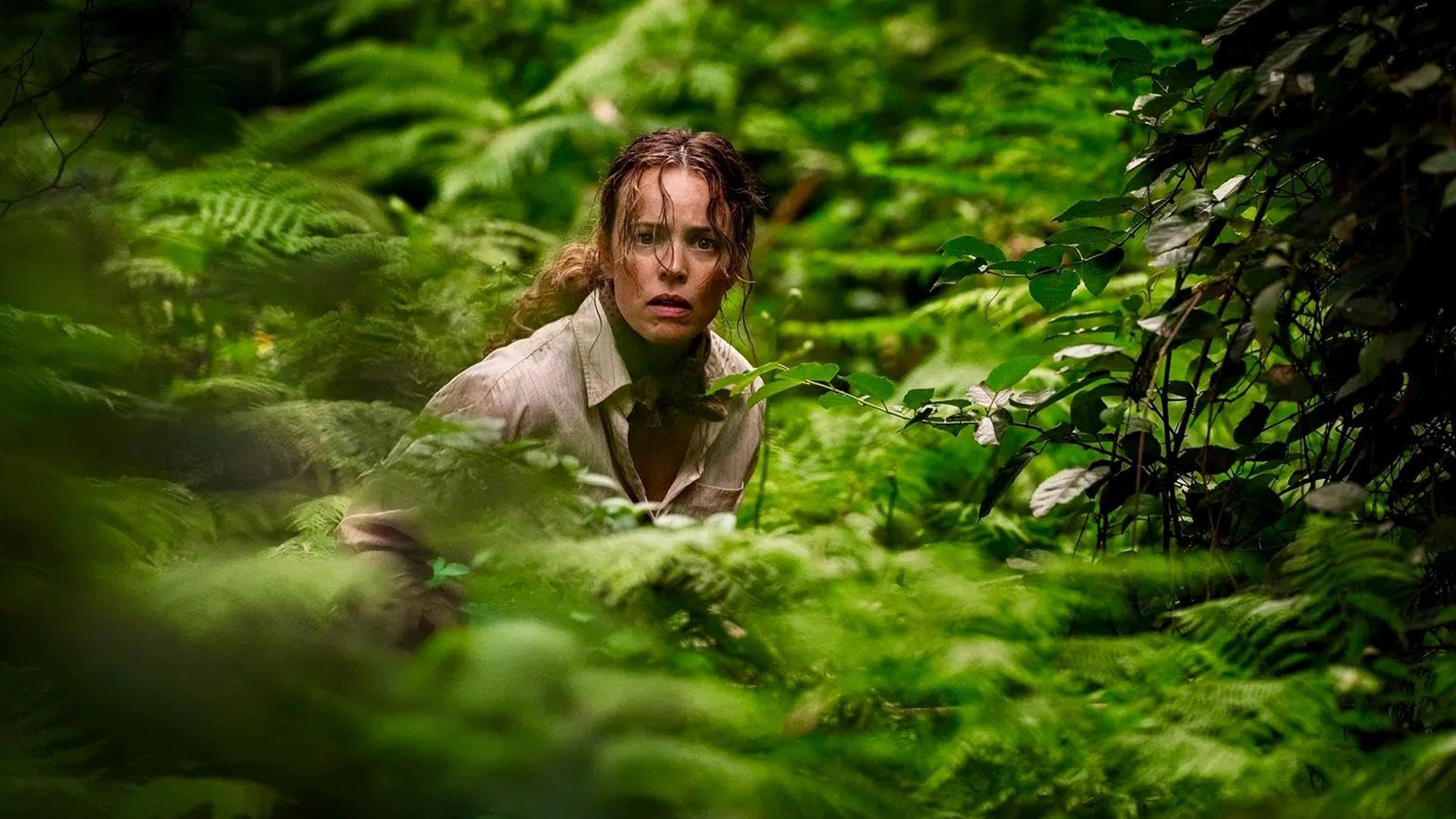 reczenziya na film na pomoshh. razbor kinokritika shot tv