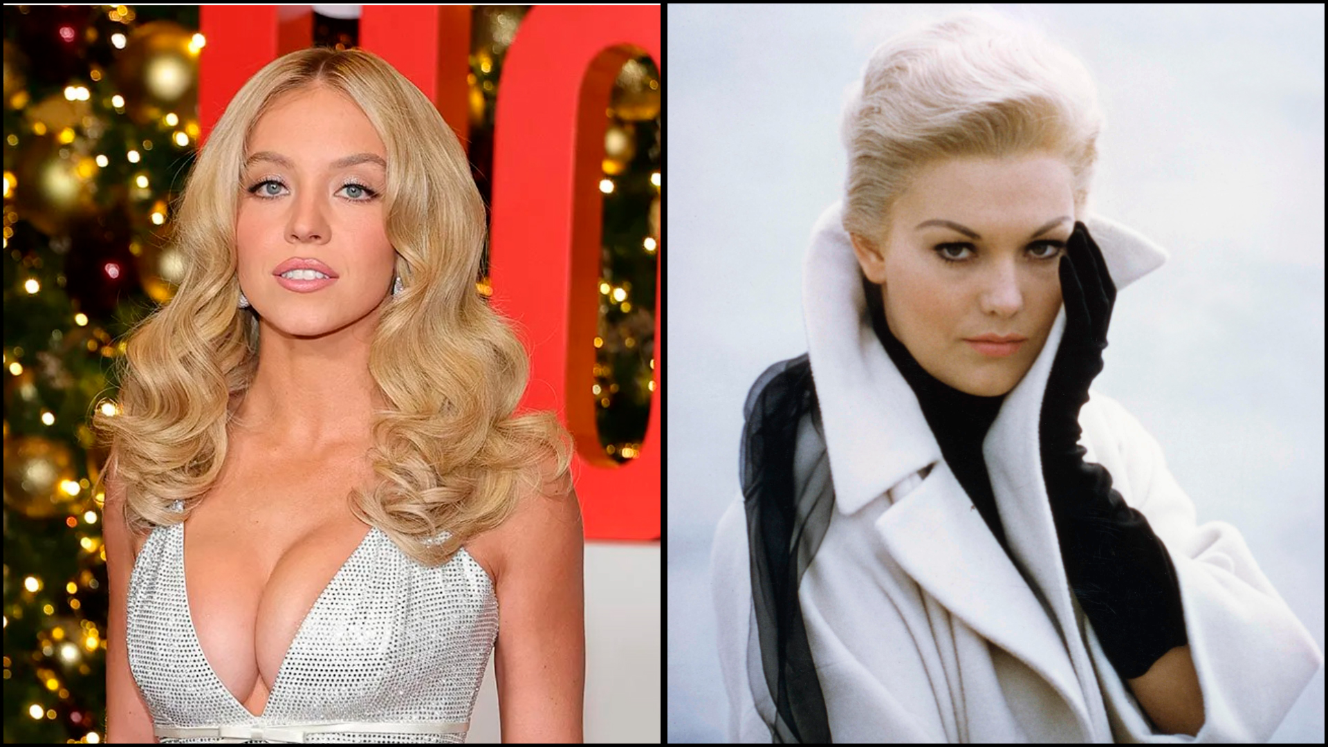 Возмущению Ким Новак нет предела 1 sidni suini i kim novak