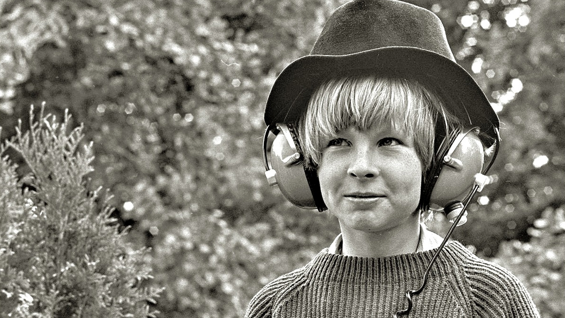 fon trier na semkah tajnogo leta 1969