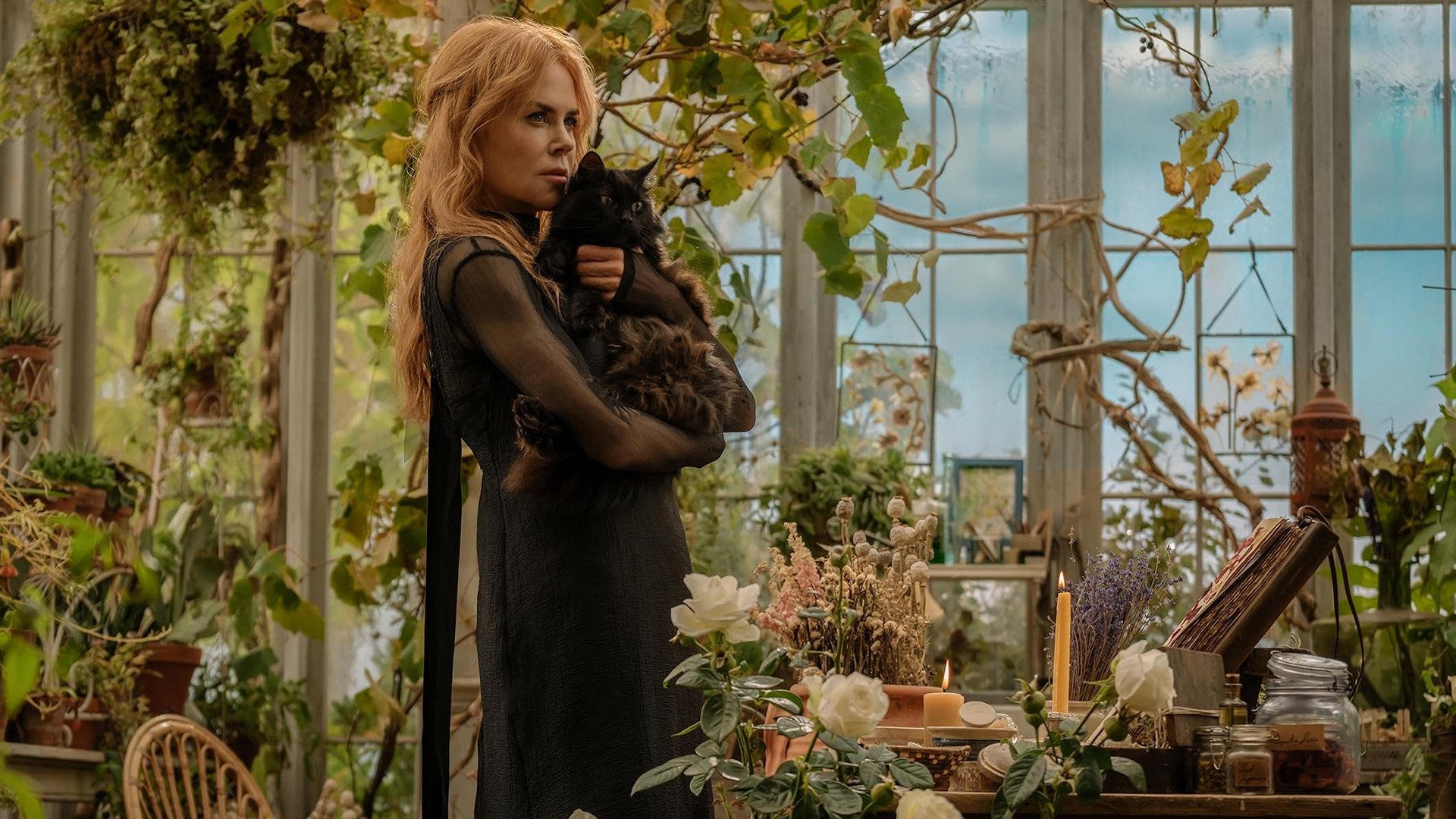 nikol kidman na semkah prakticheskoj magii 2