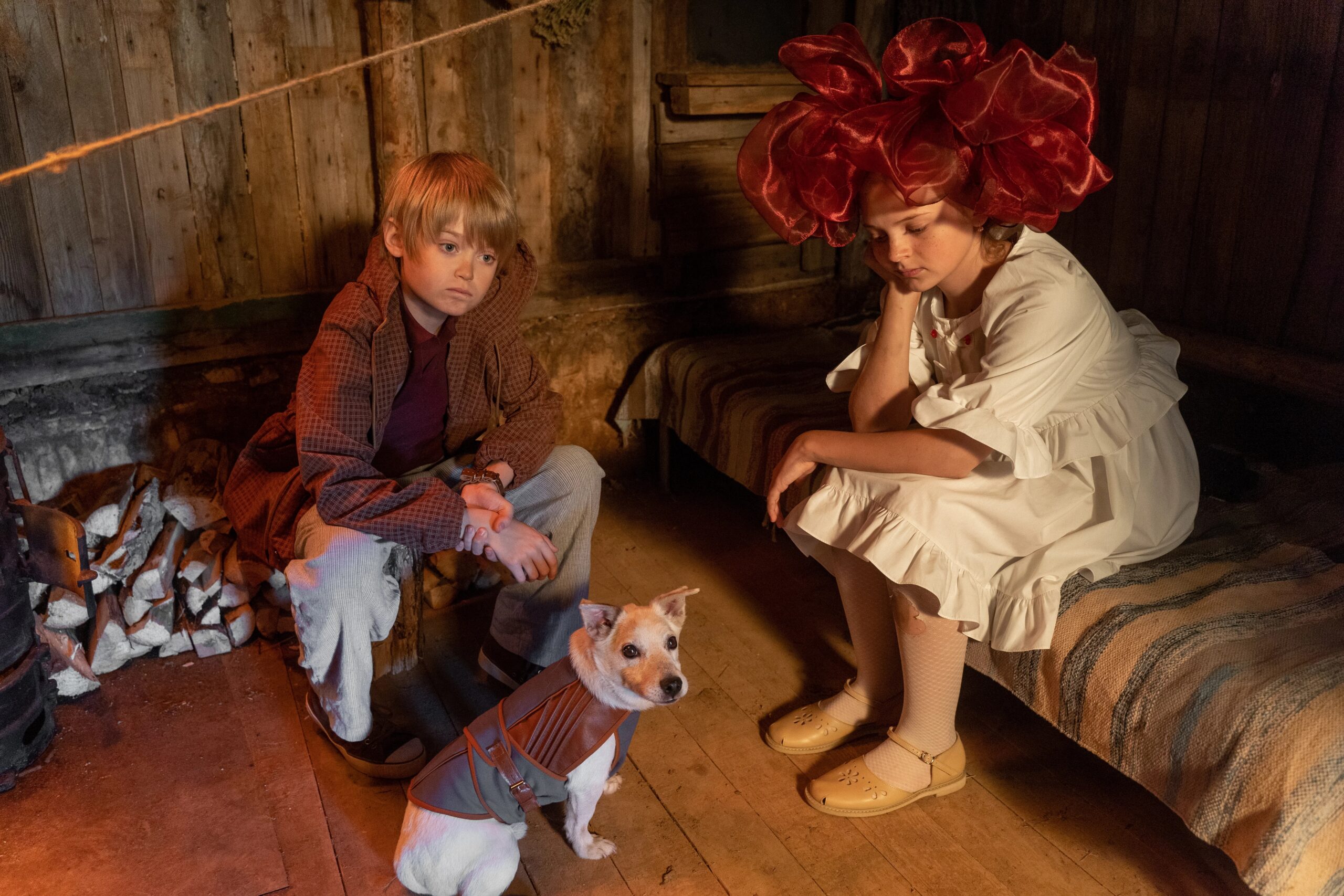 reczenziya na film moya sobaka — kosmonavt shot tv 3 scaled