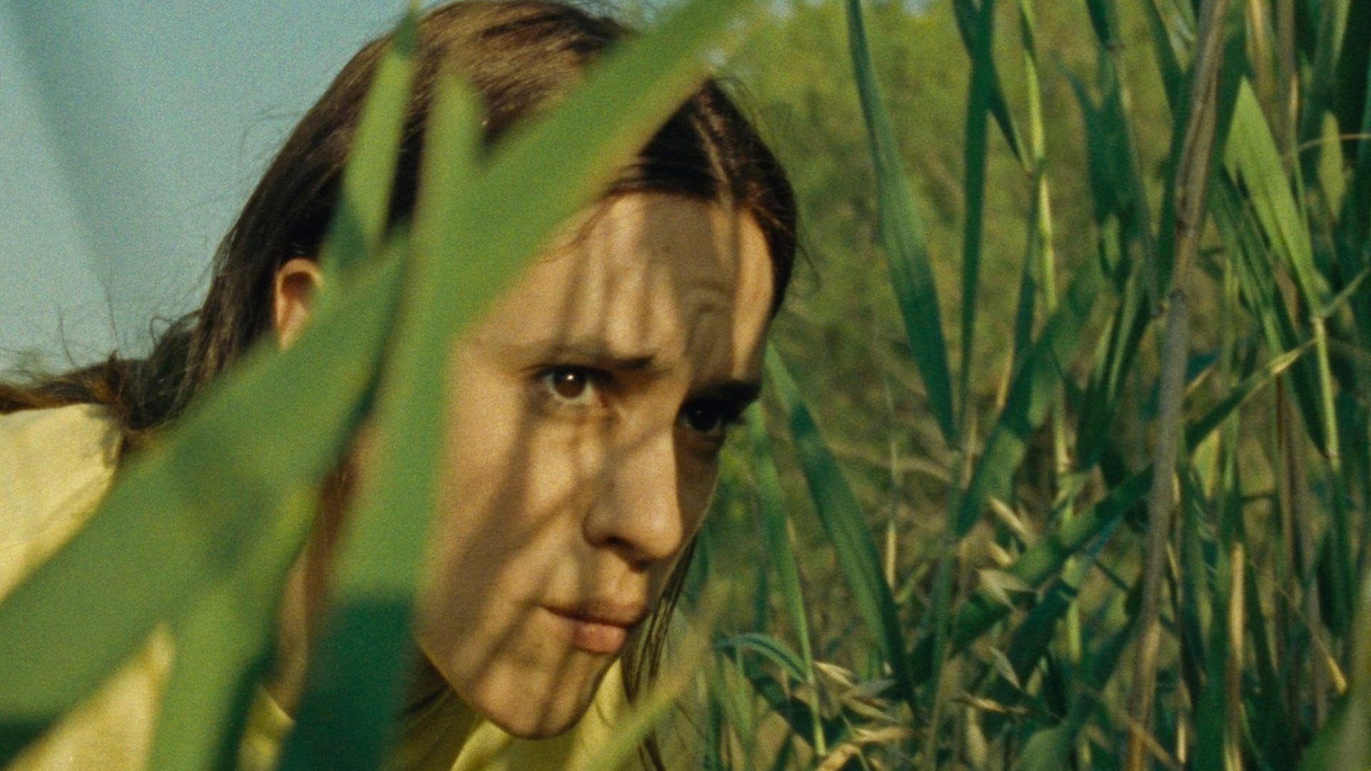 Шот-панорама № 40 1 scorched earth