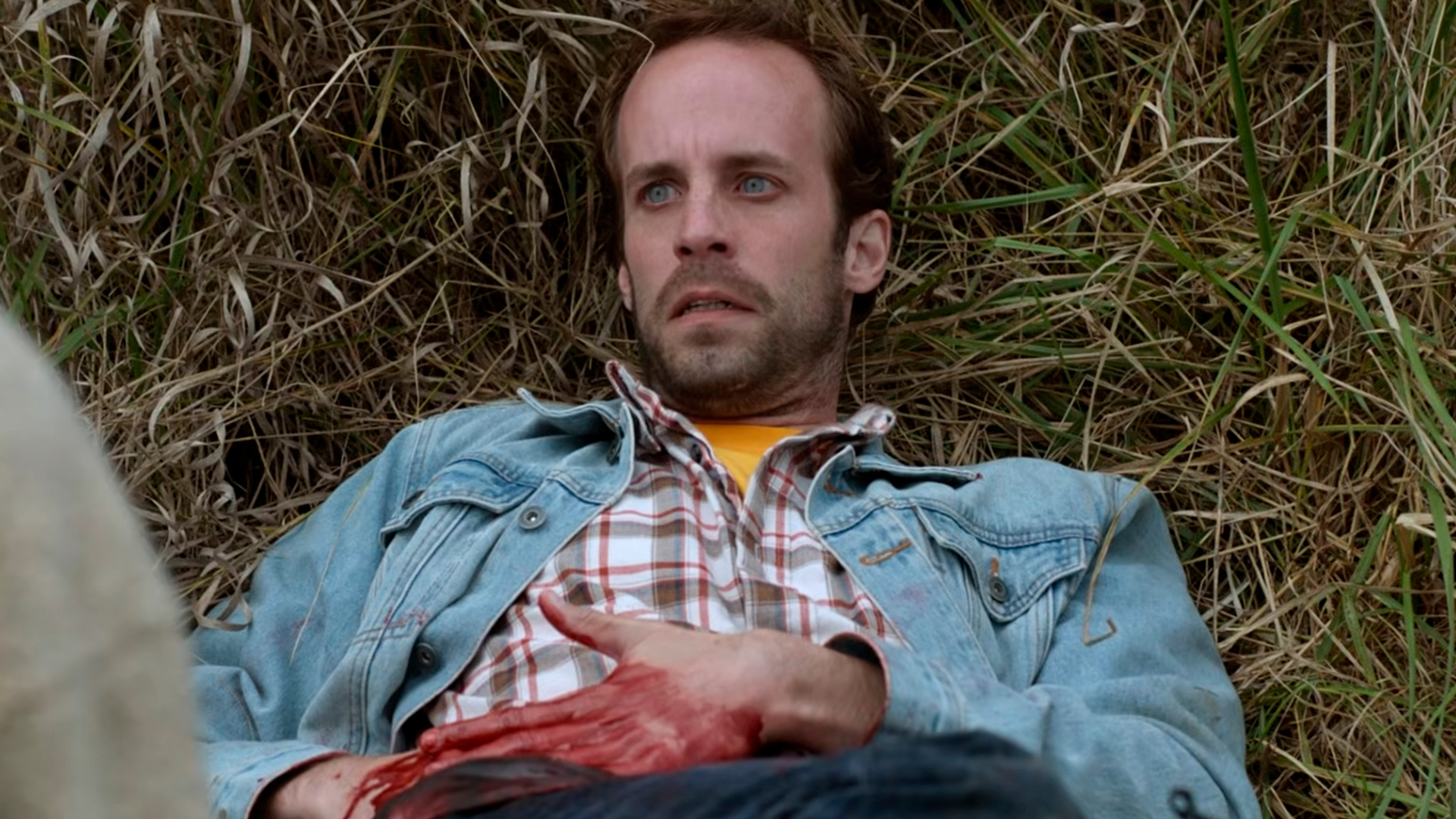 Шот-панорама № 41 3 teacheable moment