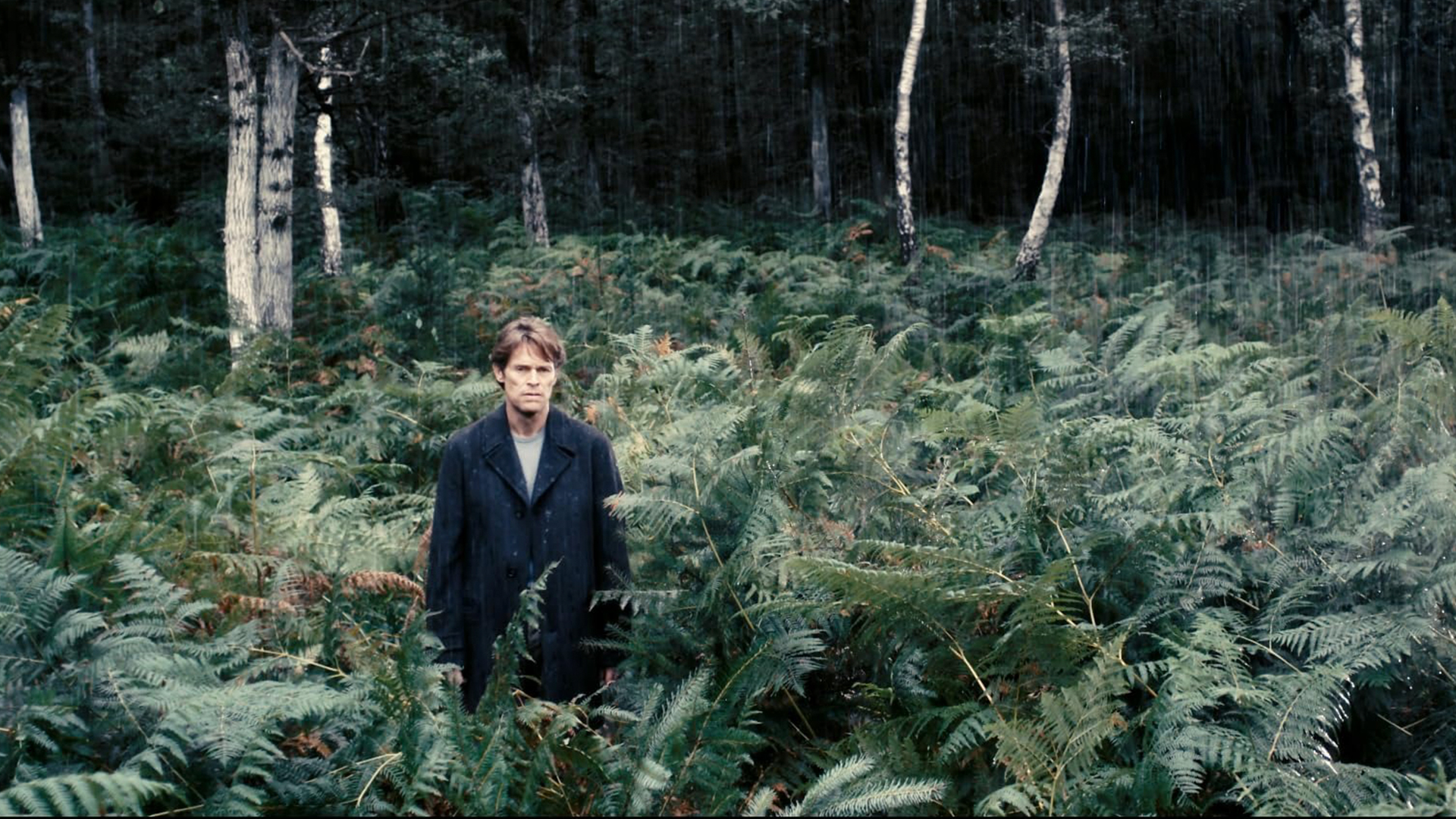 uillem defo. antihrist 2009