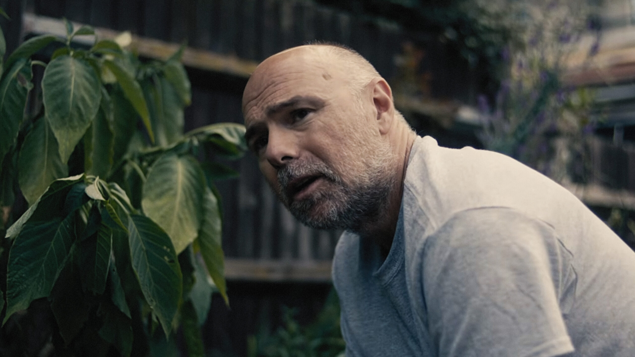 Шот-панорама № 57: семейные истории 3 Кадр из фильма Bury Your Nephew («Похоронить племянника»). Страна: Великобритания. Жанр: драма. Хронометраж: 20:40