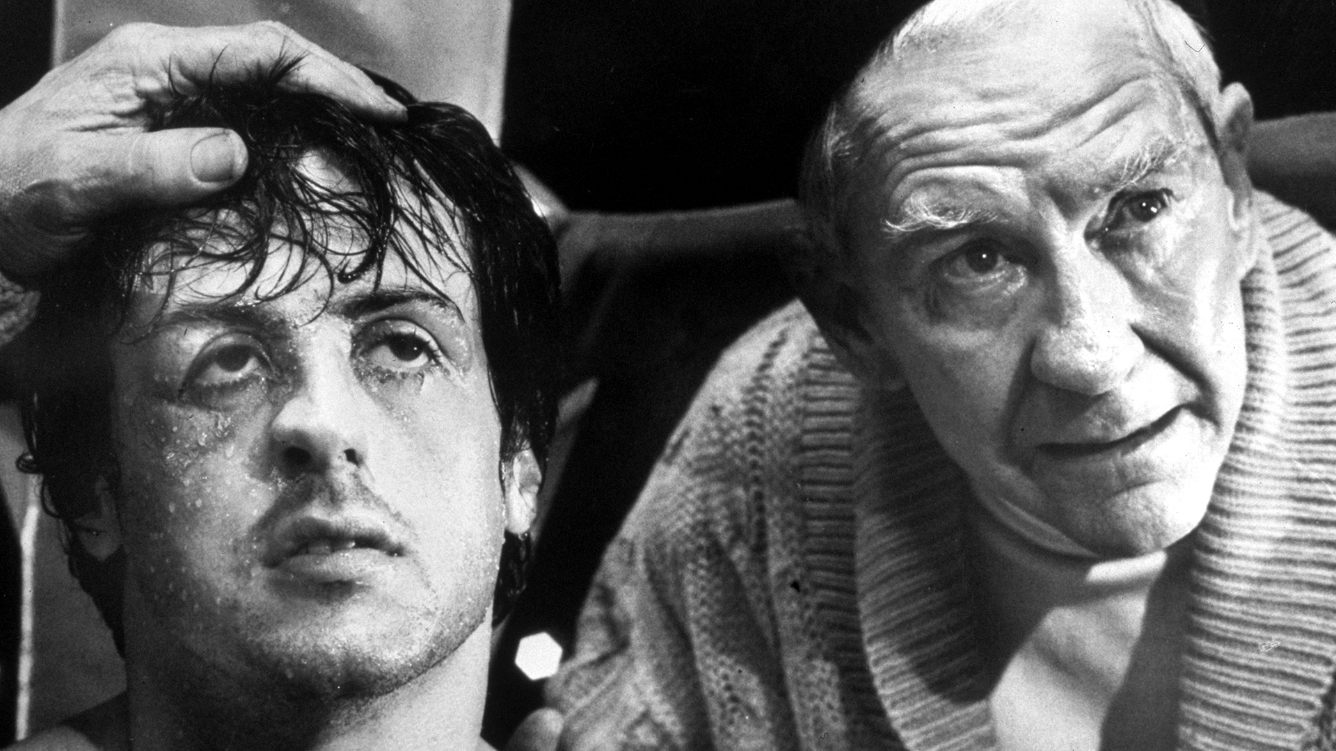 «Рокки» навсегда 7 vsyo o vseh chastyah rokki i biografii silvestra stallone
