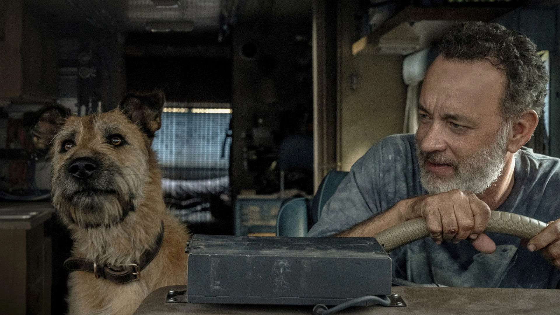Собачьи истории: пять фильмов о четвероногих друзьях 2 Том Хэнкс в фильме «Финч» (2021)